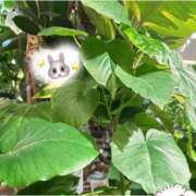 ヒメ日記 2025/11/27 12:16 投稿 ラム エピソード(品川)