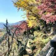 ヒメ日記 2025/11/24 22:14 投稿 みらい 出会い系人妻ネットワーク 春日部〜岩槻編