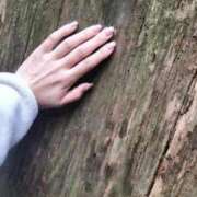 ヒメ日記 2026/01/16 00:24 投稿 みらい 出会い系人妻ネットワーク 春日部〜岩槻編