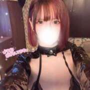 ヒメ日記 2025/12/18 22:56 投稿 せいら E+アイドルスクール新宿・歌舞伎町店