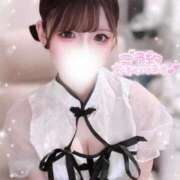 ヒメ日記 2025/12/19 07:35 投稿 せいら E+アイドルスクール新宿・歌舞伎町店