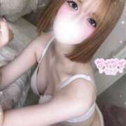 ヒメ日記 2026/01/31 19:45 投稿 せいら E+アイドルスクール新宿・歌舞伎町店