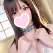 ヒメ日記 2026/03/15 14:53 投稿 せいら E+アイドルスクール新宿・歌舞伎町店