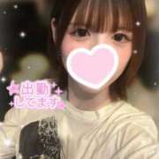 ヒメ日記 2026/03/16 21:15 投稿 せいら E+アイドルスクール新宿・歌舞伎町店