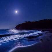 ヒメ日記 2025/11/24 21:29 投稿 ももな 美妻隊