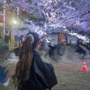 ヒメ日記 2026/04/11 12:22 投稿 ほずみ 宮城♂風俗の神様 仙台店