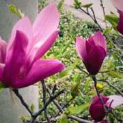 ふうか 向かってるよん💜 春日部人妻花壇