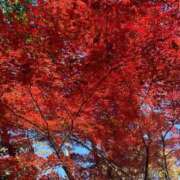 まつり 昨日満了ありがとうございました♡ 横浜風俗 横浜いきなりビンビン伝説