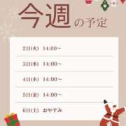ヒメ日記 2025/12/01 14:03 投稿 ちふゆ 渋谷 風俗 奥様発情の会