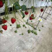 ヒメ日記 2026/01/21 21:03 投稿 ゆうは マリアージュ大宮