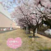 ゆうは 久しぶりの出勤 マリアージュ大宮