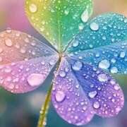 ヒメ日記 2025/12/14 11:11 投稿 よしみ 木更津人妻花壇