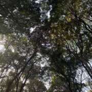 ヒメ日記 2026/01/08 13:49 投稿 つかさ LOVE横浜店(Iグループ)