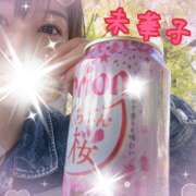 ヒメ日記 2026/04/09 15:04 投稿 藤原 未華子 イマジン東京