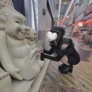 ヒメ日記 2025/12/28 12:12 投稿 じゅり スピード京橋店