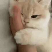 ヒメ日記 2026/01/26 00:30 投稿 あやね☆11/25初登校！ JKサークル