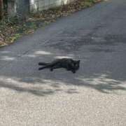 ヒメ日記 2026/02/25 19:17 投稿 あやね☆11/25初登校！ JKサークル