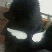 ヒメ日記 2026/03/07 15:03 投稿 あやね☆11/25初登校！ JKサークル