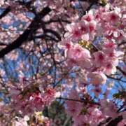 ヒメ日記 2026/03/23 22:32 投稿 あやね☆11/25初登校！ JKサークル