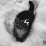 ヒメ日記 2026/03/24 06:00 投稿 あやね☆11/25初登校！ JKサークル