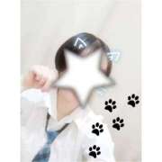 ちさと お久しぶりです🐱 ビデオdeはんど 横浜校