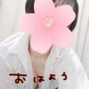 ヒメ日記 2026/03/24 09:05 投稿 ちさと ビデオdeはんど 横浜校