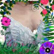 ヒメ日記 2025/12/01 11:11 投稿 れいこ 春日部人妻花壇