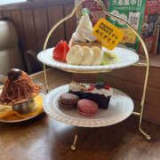 れいこ 本日の御礼（╹◡╹） 春日部人妻花壇