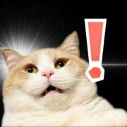 ヒメ日記 2025/11/29 12:28 投稿 あいら 福岡ちゃんこ大牟田店