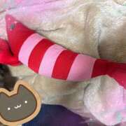 ヒメ日記 2025/12/04 21:58 投稿 あいら 福岡ちゃんこ大牟田店