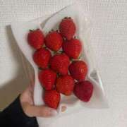 ヒメ日記 2026/01/29 21:21 投稿 りえ 名古屋名駅・栄サンキュー