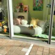 ヒメ日記 2026/02/01 00:42 投稿 みらい 出会い系人妻ネットワーク さいたま～大宮編