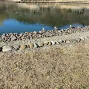 ヒメ日記 2026/02/04 22:52 投稿 みらい 出会い系人妻ネットワーク さいたま～大宮編