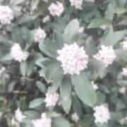 ヒメ日記 2026/03/08 22:52 投稿 みらい 出会い系人妻ネットワーク さいたま～大宮編