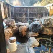 ヒメ日記 2026/03/16 21:25 投稿 みらい 出会い系人妻ネットワーク さいたま～大宮編