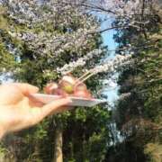 ヒメ日記 2026/03/29 23:12 投稿 みらい 出会い系人妻ネットワーク さいたま～大宮編