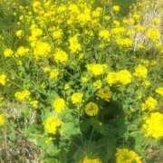 ヒメ日記 2026/03/30 21:52 投稿 みらい 出会い系人妻ネットワーク さいたま～大宮編