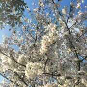 ヒメ日記 2026/04/03 21:32 投稿 みらい 出会い系人妻ネットワーク さいたま～大宮編