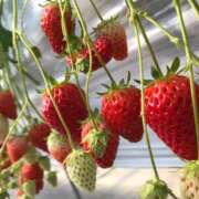 ヒメ日記 2026/02/11 09:04 投稿 もあ 奥様はエンジェル　立川店