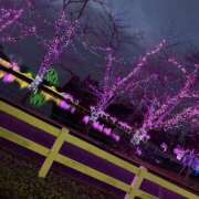 ヒメ日記 2025/12/25 00:00 投稿 りか 最高級 エロエロ奥様 越谷店