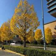 せいら はじめまして！！ 池袋千姫