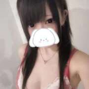 ヒメ日記 2025/12/01 08:11 投稿 ここ 若葉