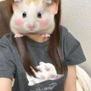 ヒメ日記 2025/11/24 18:54 投稿 みのり JDリフレ