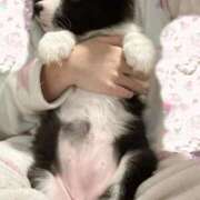 ヒメ日記 2025/12/05 16:05 投稿 みのり JDリフレ