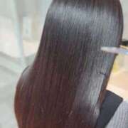 ヒメ日記 2025/12/16 19:47 投稿 かれん 秋葉原鑑賞ガール