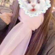 ヒメ日記 2026/01/29 07:57 投稿 かれん 秋葉原鑑賞ガール