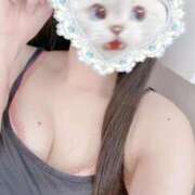 ヒメ日記 2026/01/31 13:57 投稿 かれん 秋葉原鑑賞ガール