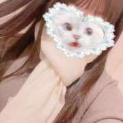 ヒメ日記 2026/02/01 22:17 投稿 かれん 秋葉原鑑賞ガール