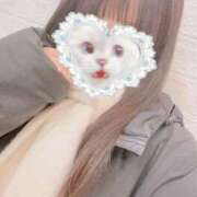 ヒメ日記 2026/02/03 08:27 投稿 かれん 秋葉原鑑賞ガール