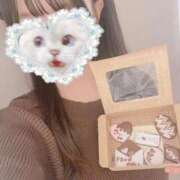 ヒメ日記 2026/02/09 08:17 投稿 かれん 秋葉原鑑賞ガール